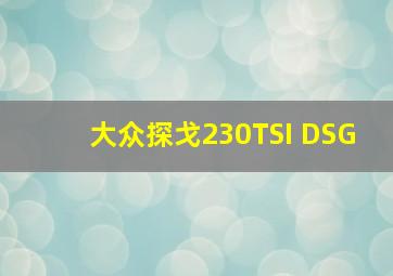 大众探戈230TSI DSG